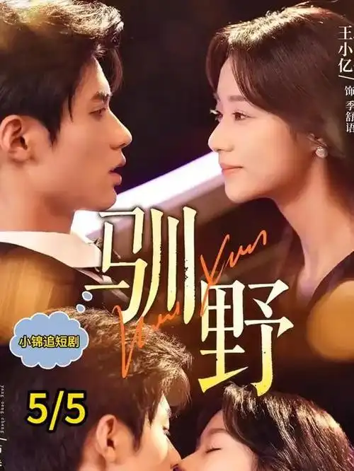 玫瑰的故事 电视剧海报